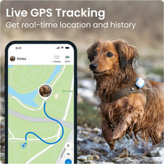 GPS Tracker for Dogs