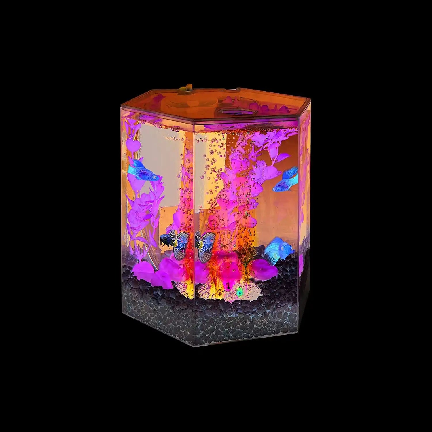 Bubbling LED Aquarium Kit 1 Gallon