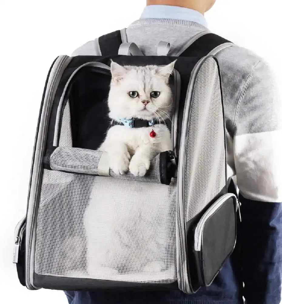 Traveler Backpack Pet Carriers