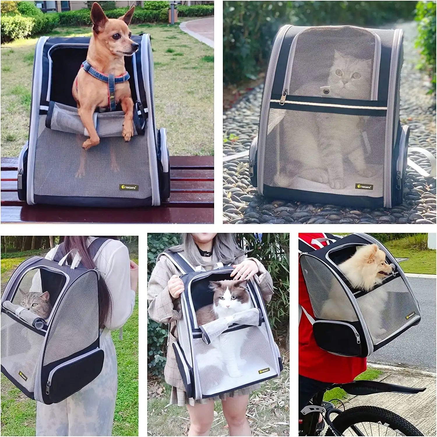 Traveler Backpack Pet Carriers