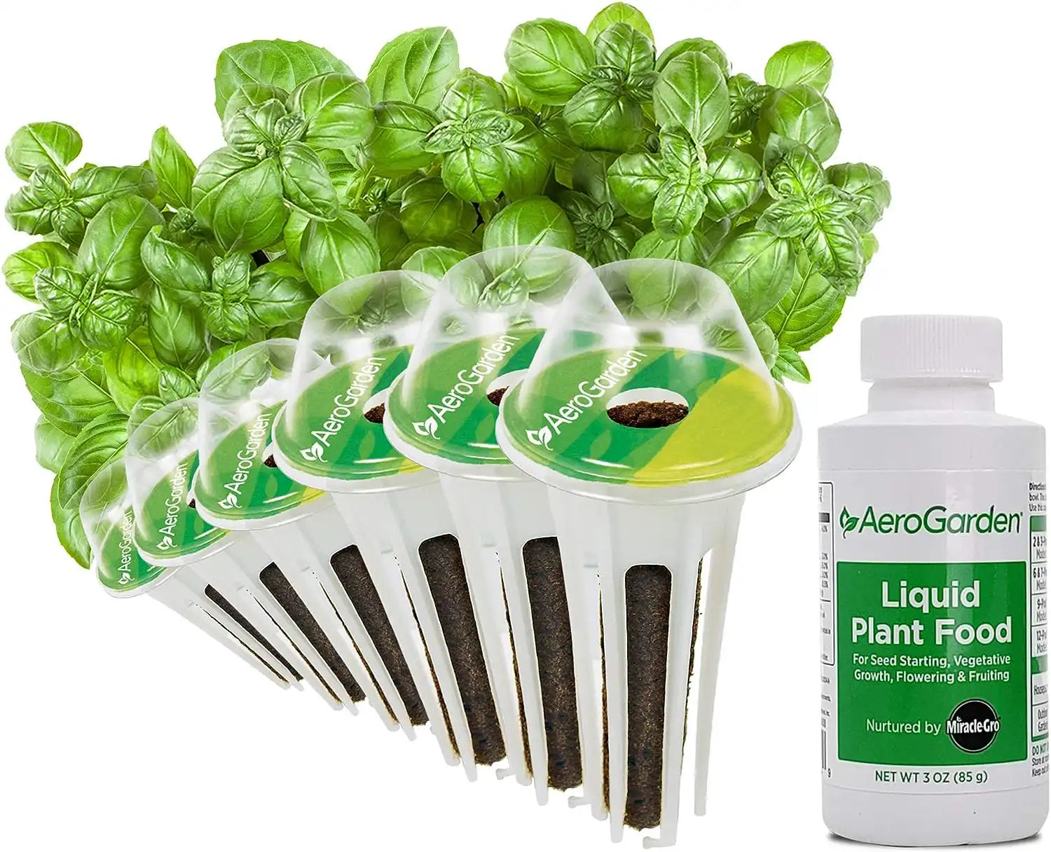 Assorted Herb Seed Pod Kit (6-Pod)