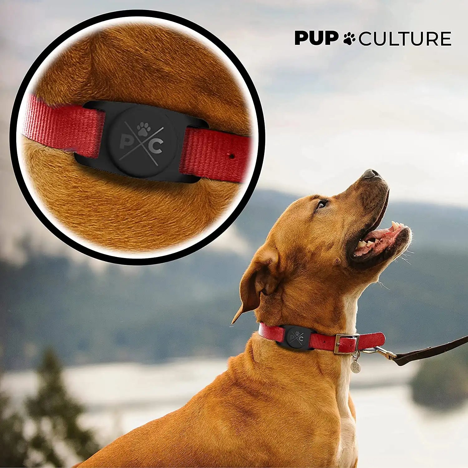 Airtag Dog Collar