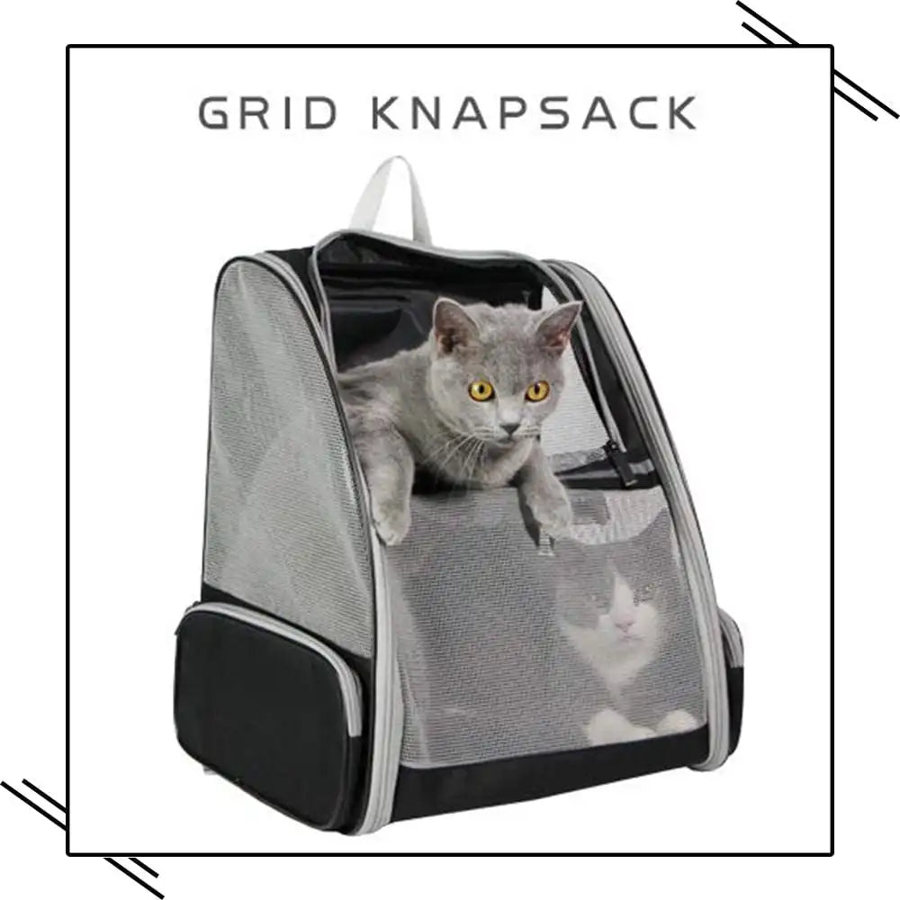 Traveler Backpack Pet Carriers